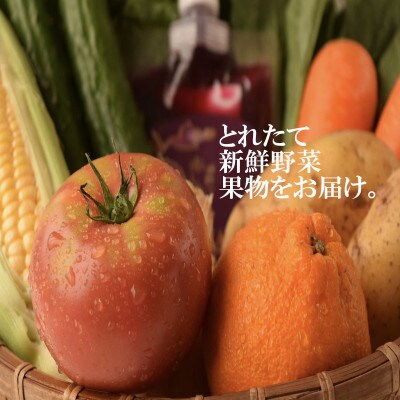 2023年10月発送開始『定期便』旬の季節野菜等おまかせ詰め合わせプレミアムセット全11回