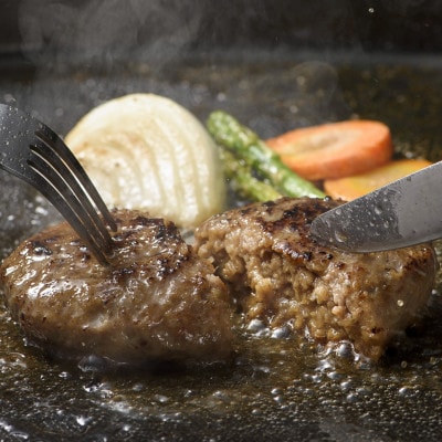 ながさきふわとろハンバーグ　150g×5個入