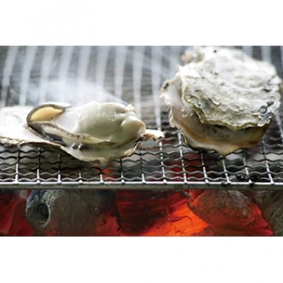 長崎県諫早市　小長井牡蠣(殻付きカキ)約3kg　カキナイフ付き