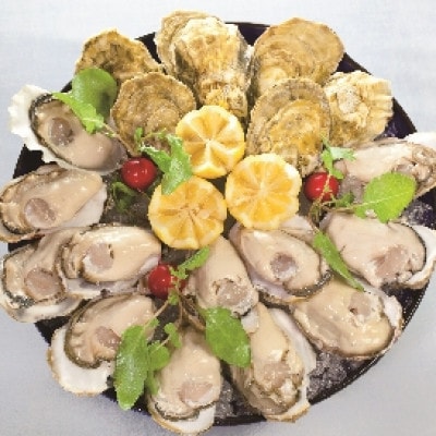 「かき日本一決定戦」グランプリ受賞　諫早市小長井牡蠣華漣(殻付きカキ)20個入りカキナイフ付き