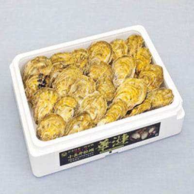 「かき日本一決定戦」グランプリ受賞　諫早市小長井牡蠣華漣(殻付きカキ)20個入りカキナイフ付き