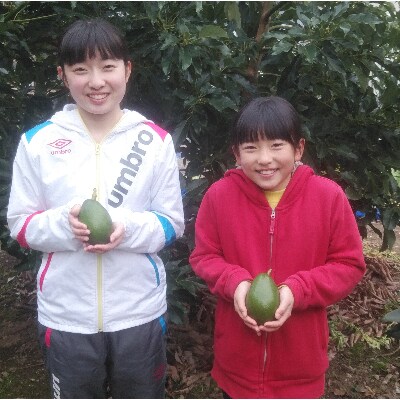 長崎県諫早産アボカドと伊木力みかんのセット