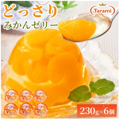 【毎月定期便】たらみのどっさり みかん 230g (1箱 6個入)全3回