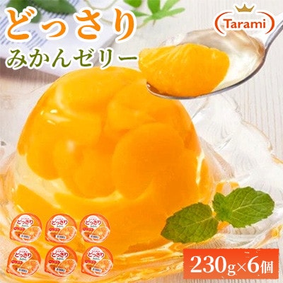 【毎月定期便】たらみのどっさり みかん 230g (1箱 6個入)全9回