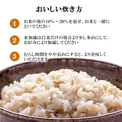 【3ヵ月毎定期便】丸麦(長崎県産)20kg×1袋全3回