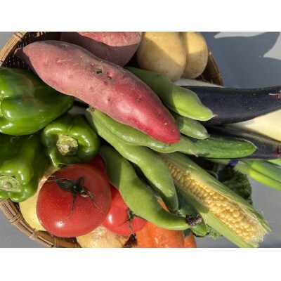 季節の旬の野菜詰め合わせセット