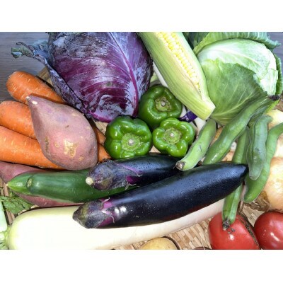 季節の旬の野菜詰め合わせセット