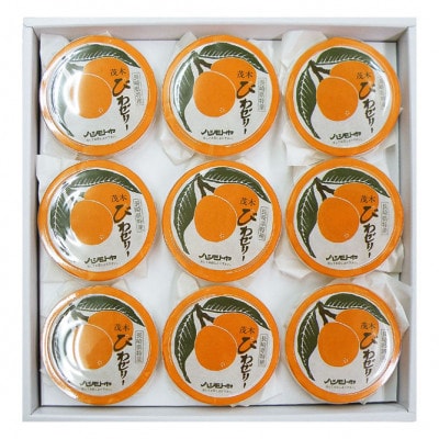長崎特産「茂木びわゼリー」(9個入り)