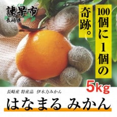 【2025年秋発送分・先行受付】《伊木力みかん》はなまるみかん5kg | ふるさと納税のお礼品