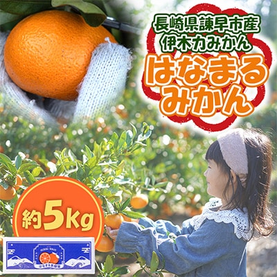 【先行予約】《伊木力みかん》はなまるみかん5kg