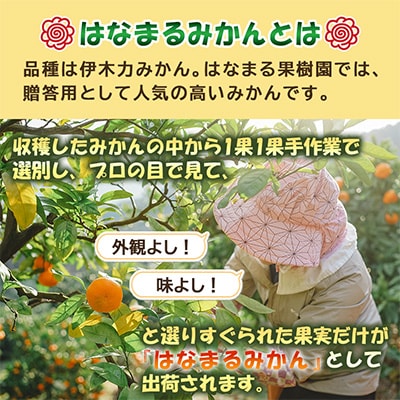 【先行予約】《伊木力みかん》はなまるみかん5kg