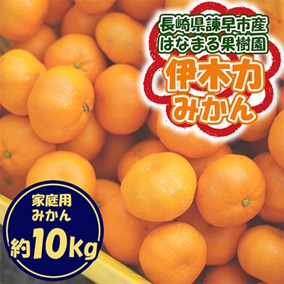 【先行予約】《伊木力みかん》家庭用みかん(10kg)