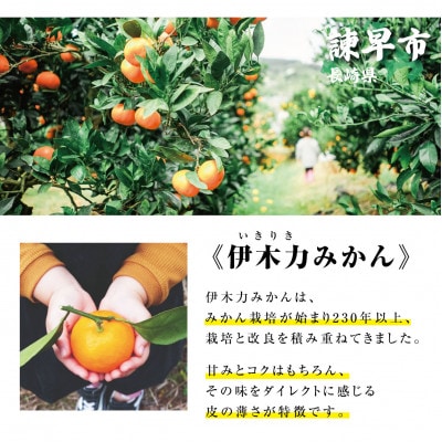 【2025年秋発送分・先行受付】《伊木力みかん》家庭用みかん(10kg)