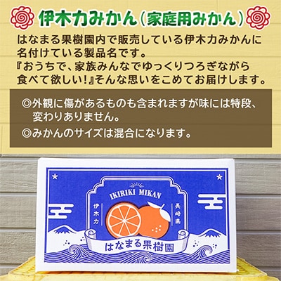 【先行予約】《伊木力みかん》家庭用みかん(10kg)