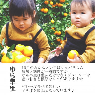 《伊木力みかん》ゆら早生みかん(10kg)