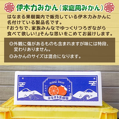 【先行予約】《伊木力みかん》家庭用みかん(5kg)