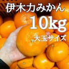 【2025年秋発送分・先行受付】《伊木力みかん》大玉みかん(10kg)