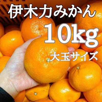 【2025年秋発送分・先行受付】《伊木力みかん》大玉みかん(10kg)
