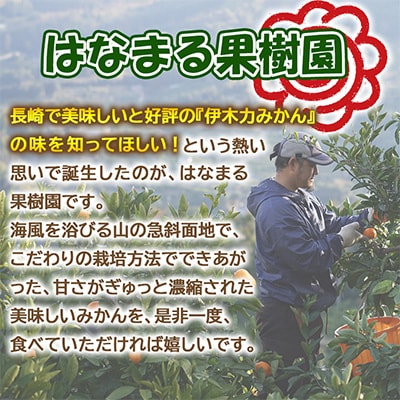【先行予約】《伊木力みかん》大玉みかん(10kg)
