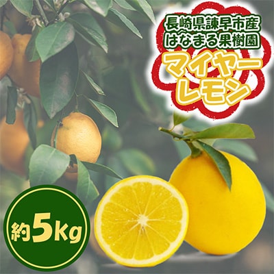 【先行予約】《長崎産》マイヤーレモン(5kg)