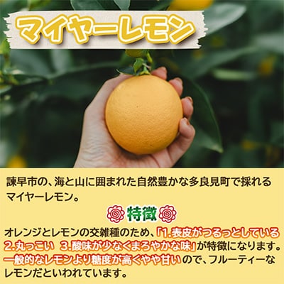 【先行予約】《長崎産》マイヤーレモン(5kg)