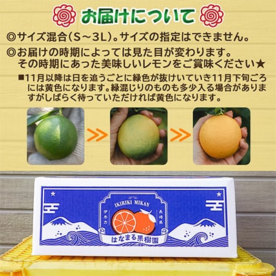 【先行予約】《長崎産》マイヤーレモン(5kg)