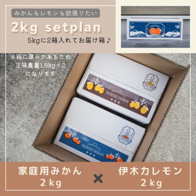 伊木力みかん&レモンセット　1.8kg×2