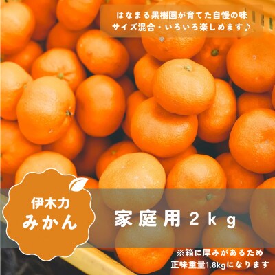 伊木力みかん&レモンセット　1.8kg×2