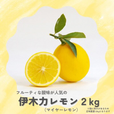 伊木力みかん&レモンセット　1.8kg×2