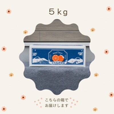 伊木力みかん&レモンセット　1.8kg×2