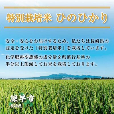 【令和5年産】長崎県認定特別栽培米ひのひかり10kg