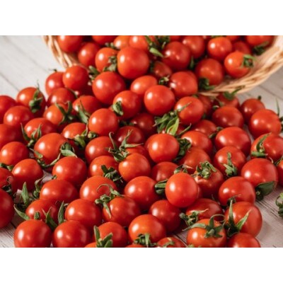 プチッと弾ける果汁　高糖度・高栄養価「プレ宮トマト」2kg
