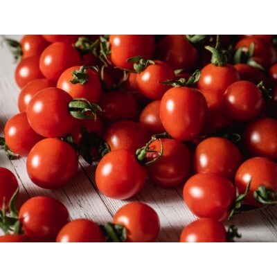 プチッと弾ける果汁　上質「プレ宮トマトゴールド」1kg×2箱　計2kg