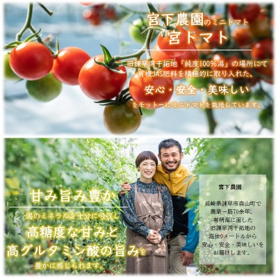 ワイン酵母仕込み　茜鶴　ミニトマトのお酒　甘口　500ml