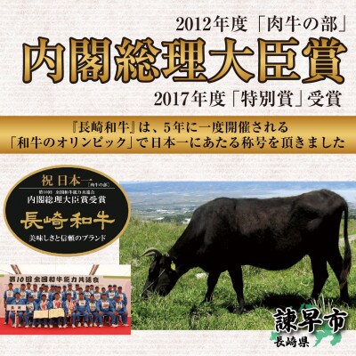 長崎和牛特選カルビ焼肉用(バラ・ウデ)500g×2パック