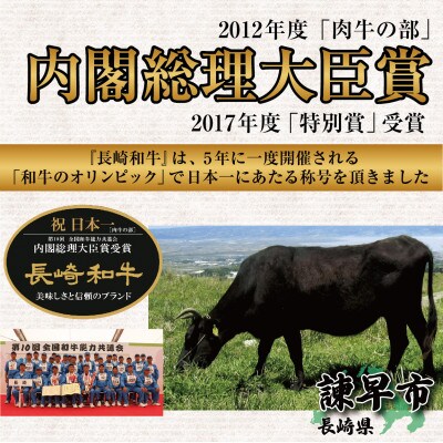 長崎和牛秘伝ダレ仕込みの切り落とし焼肉700g×2パック
