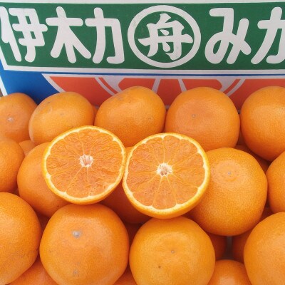 伊木力みかんギフト箱(20～30玉)