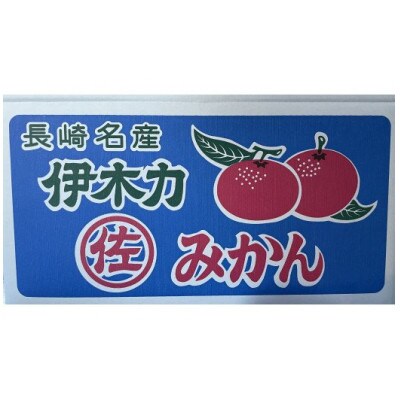 濃厚 甘くて 美味しい 伊木力佐瀬みかん (^o^)/ ・゜ﾟ・ ｡無印