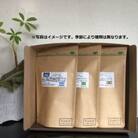 自家焙煎スペシャルティコーヒーおまかせセット　スタンダード(豆のまま)