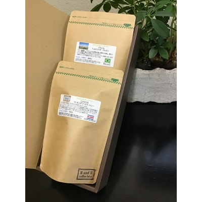 自家焙煎スペシャルティコーヒーおまかせセット　スタンダード(豆のまま)2袋