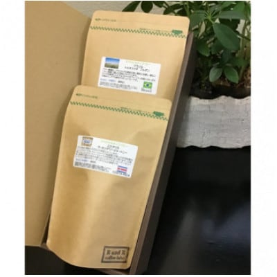 自家焙煎スペシャルティコーヒーおまかせセット ハイグレード(中挽き) 計2袋