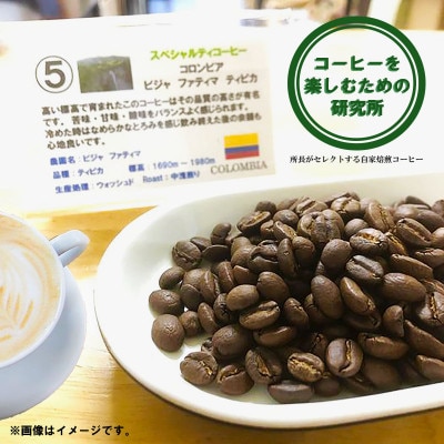 【のし付き】自家焙煎スペシャルティコーヒーおまかせセット　ハイグレード(中挽き)