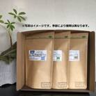 【毎月定期便】自家焙煎スペシャルティコーヒーおまかせセット ハイグレード(中挽き)全8回