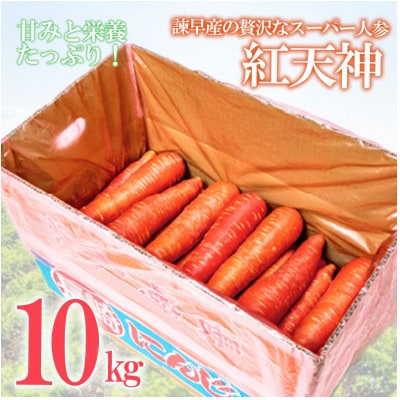 諌早産のスーパー人参「紅天神」10kg