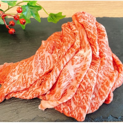 【訳あり】長崎和牛モモ・バラ赤身切り落とし 約500g(諫早市)