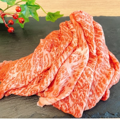 【訳あり】長崎和牛モモ・バラ赤身切り落とし 約1kg(500g×2P)(諫早市)