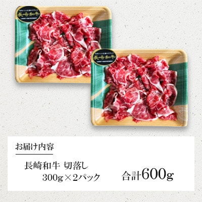 【毎月定期便】長崎和牛　牛切落し 300g×2パック(諫早市)全3回