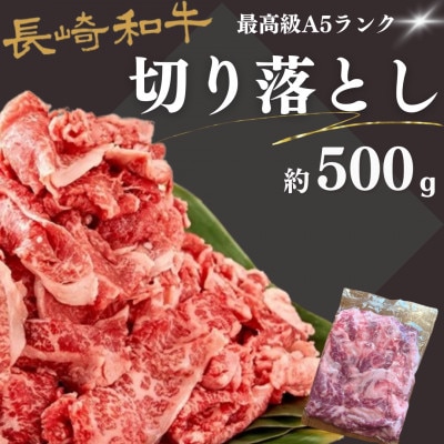 長崎和牛・最高級A5ランク 切落とし(500g×1p)