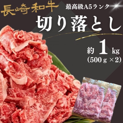 長崎和牛・最高級A5ランク 切落とし 1kg　(500g×2p)