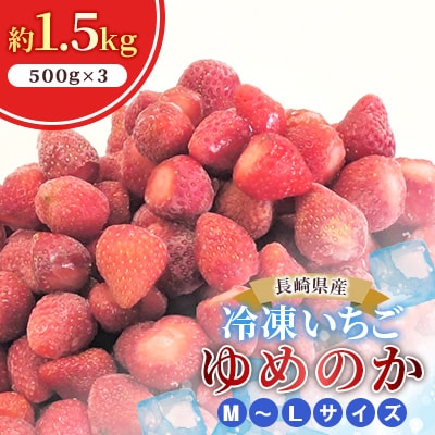 冷凍いちご「ゆめのか」 M-Lサイズ 約1.5kg(500g×3)